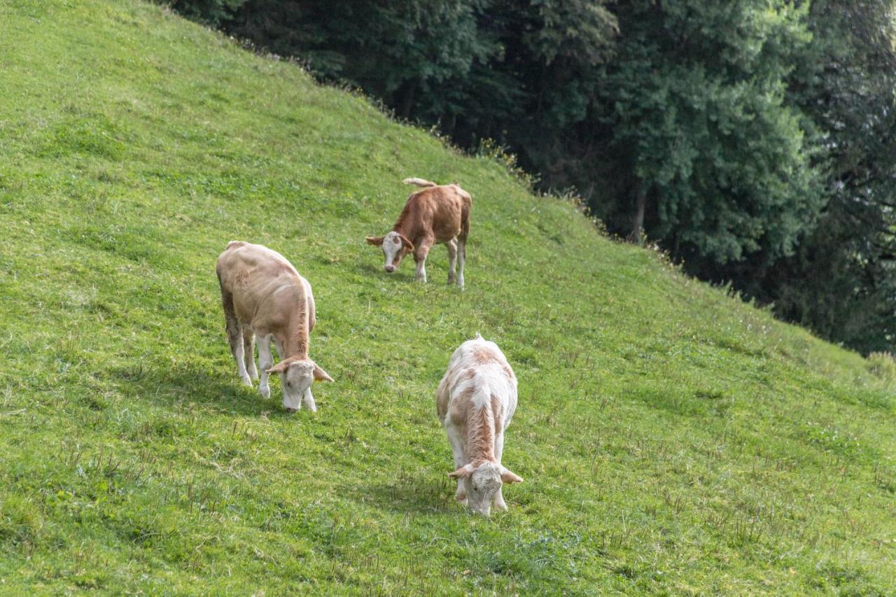 Ferienwohnung Oberrissglueck Schliersee Exteriér fotografie